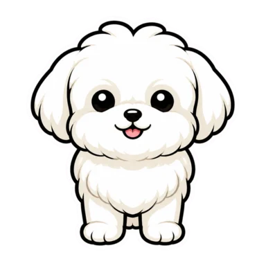 maltese